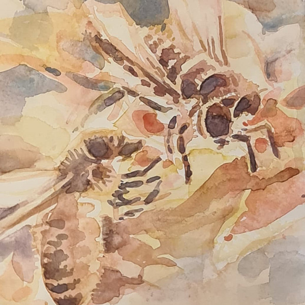 Aquarell