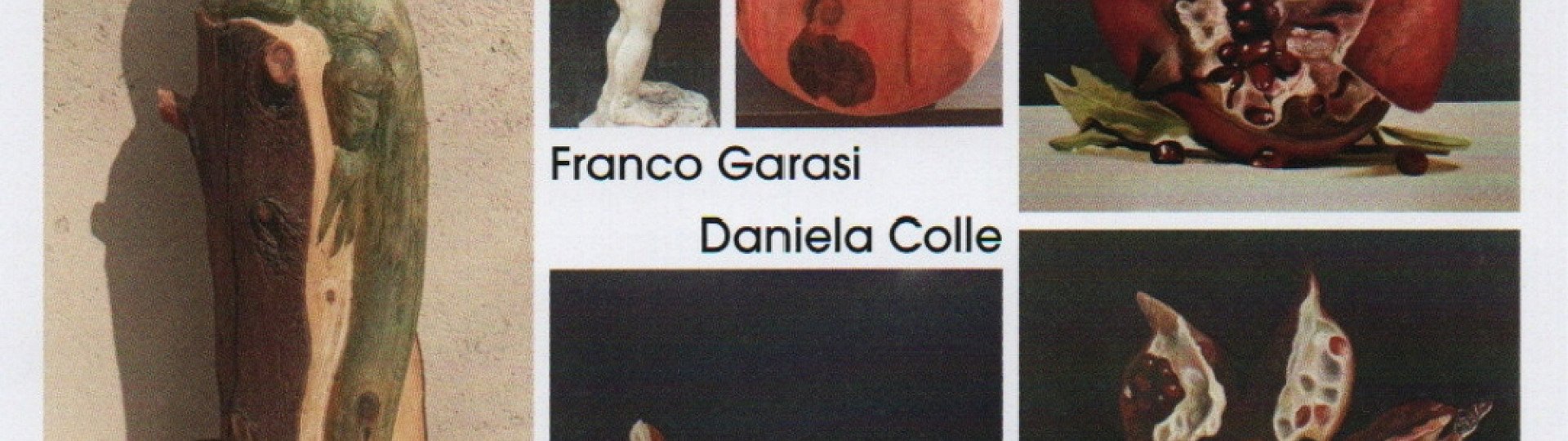 Daniela Colle - Franco Garasi